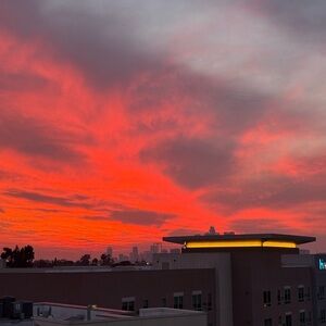 Meet your Posher, Bradley